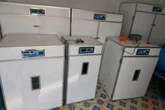 Vente des couveuses et tout autre article de llevage 
