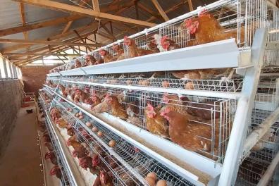 divers Burkina agronomie   