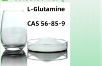 Food Grade L-Glutamine (USP type) Owder USP CAS 56-85-9 mediacongo