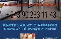 LOCATION EN CASH ET CREDIT DES HECTARES AVEC UN ACCOMPAGNEMENT TECHNIQUE TECHNIQUE ET FINANCIER mediacongo