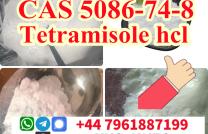 99% Purity cas 5086-74-8 Tetramisole hydrochloride powder mediacongo