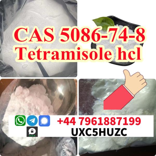 99 Purity cas 5086748 Tetramisole hydrochloride powder