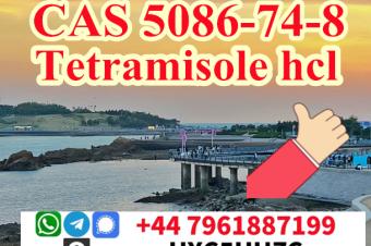 99 Purity cas 5086748 Tetramisole hydrochloride powder