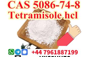 99 Purity cas 5086748 Tetramisole hydrochloride powder