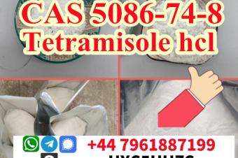 99 Purity cas 5086748 Tetramisole hydrochloride powder