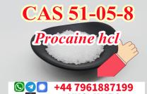Procaine Hcl,51-05-8,Procaine Hydrochloride,Procaina Hcl Powder mediacongo