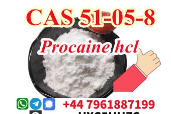 Procaine Hcl51058Procaine HydrochlorideProcaina Hcl Powder
