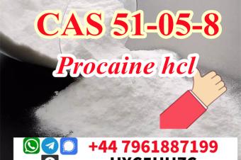 Procaine Hcl51058Procaine HydrochlorideProcaina Hcl Powder