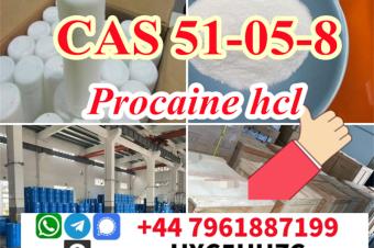 Procaine Hcl51058Procaine HydrochlorideProcaina Hcl Powder