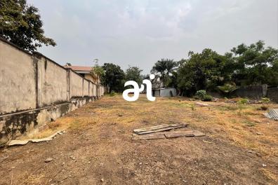 immobilier_vente_location AlainImmo  