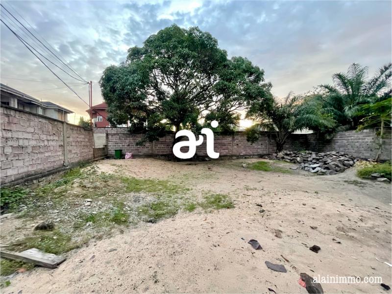 VENTE TERRAIN CLTURE DE  462m  KINSHASANGALIEMA