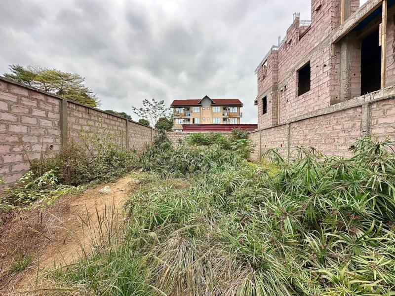 Terrain  vendre  ma campagne 1 rf palais de marbre 10msur25 250000 dollars  discuter 