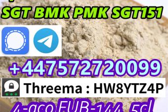 Moderate cost SignalTelegram 447572720099 