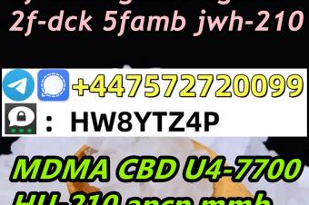 Moderate cost SignalTelegram 447572720099 