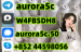 mediacongo