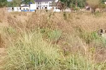 Vente terrain vide  buma dans la commune de la nsele 
