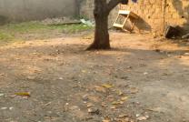 4 terrains à vendre sur la route Okapi 170000 dollars à discuter  mediacongo