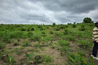 Devenez propritaire dun terrain vide  mont Ngafula  proximit de la cit millenium 