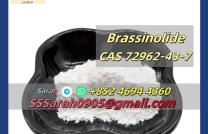 Manufacturer Supply Plant Powder Brassinolide Br CAS 72962-43-7 mediacongo