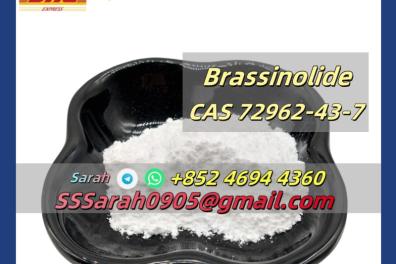 services_propositions_d_affaires Anonyme  