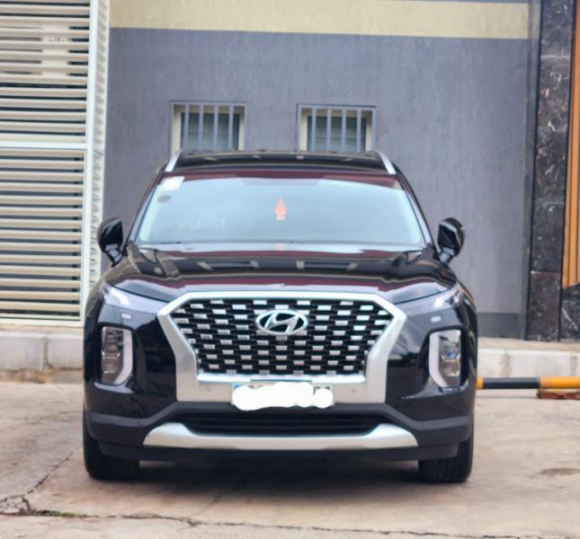 Hyundai palissade 2022