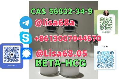 perdu_de_vue_avis_de_recherche Anonyme  