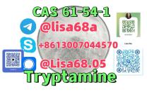 CAS 61-54-1 Tryptamine C10H12N2 200-510-5 mediacongo
