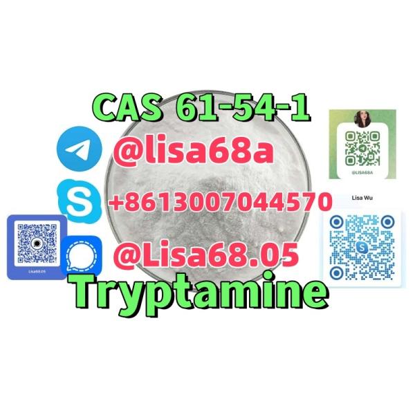 CAS 61541 Tryptamine C10H12N2 2005105