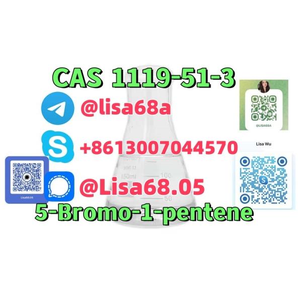 CAS 1119513 5Bromo1pentene C5H9Br 2142814