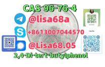 CAS 96-76-4 2,4-Di-tert-butylphenol C14H22O 202-532-0 mediacongo