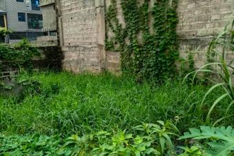 Vente parcelle terrain vid dans la commune de LIMETE 2 ME RU RSIDENTIEL 