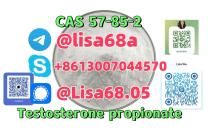 CAS 57–85–2 Testosterone Propionate C22H32O3 divers