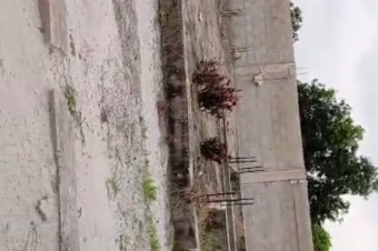 PARCELLE A VENDRE A NSELE 