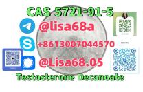 Testosterone Decanoate CAS：5721–91–5 17b-hydroxyandrost-4-en-3-one decanoate mediacongo