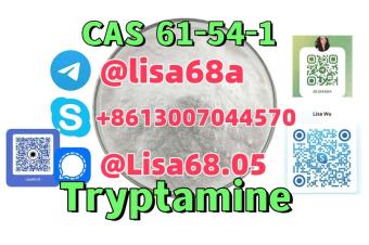 Testosterone Acetate CAS1045698 17Acetyloxyandrost4en3one