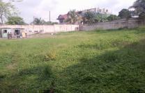 10 terrains vue sur le fleuve Congo à vendre à kinsuka pêcheur 15msur18 130000 dollars à discuter mediacongo