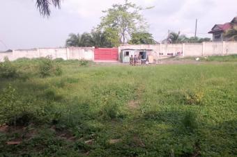 10 terrains vue sur le fleuve Congo  vendre  kinsuka pcheur 15msur18 130000 dollars  discuter 