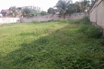 10 terrains vue sur le fleuve Congo  vendre  kinsuka pcheur 15msur18 130000 dollars  discuter 