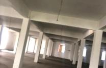 Mise en location de 3 dépôt ou maison commerciale dans la commune de kasa-vubu  mediacongo