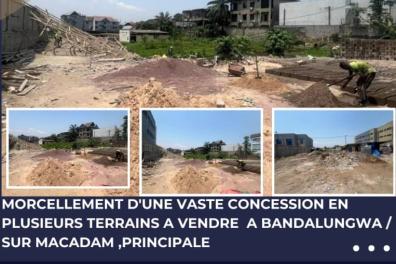 immobilier_vente_location OSES Immobilier  