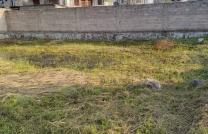 Terrain à vendre à cité Oasis bandal 14msur20 à 150000 dollars à discuter  mediacongo