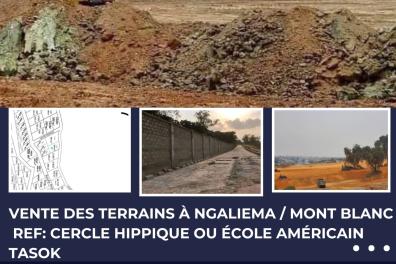 immobilier_vente_location OSES Immobilier  