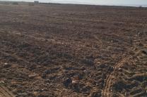 Terrain agricole pour dragons et papaye immobilier_vente_location