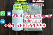 5cladba,5cladba5CLADBA,5CLANDA,5cladba divers