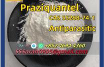 High Quality Praziquantel Powder CAS 55268-74-1 Praziquantel mediacongo
