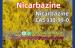 mediacongo