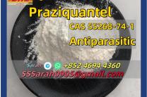 High Quality Praziquantel Powder CAS 55268-74-1 Praziquantel vivres_frais_et_alimentation