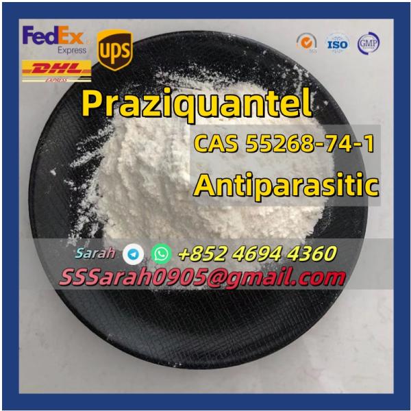 High Quality PraziquantelPowder CAS 55268741Praziquantel