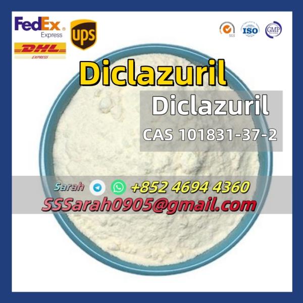99 High Purity Veterinary DrugsCAS101831372Diclazuril