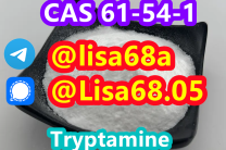 CAS 61-54-1 Tryptamine C10H12N2 divers
